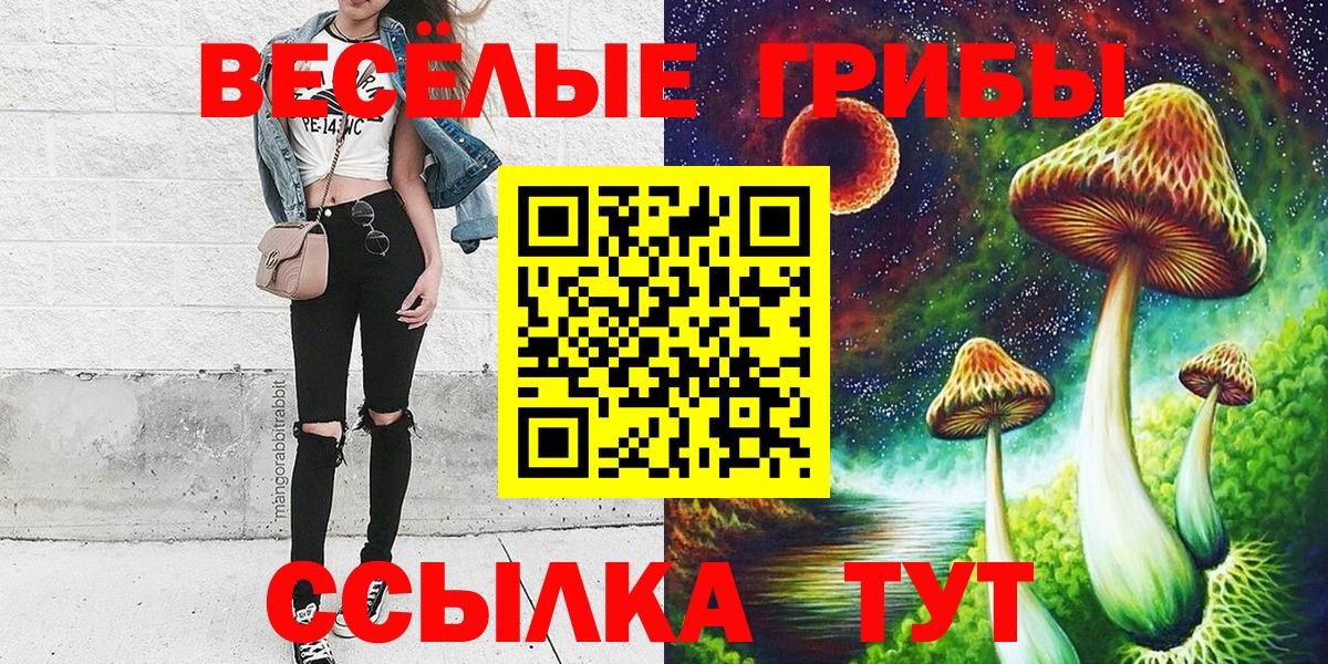 Галлюциногенные грибы Psilocybe Озёрск
